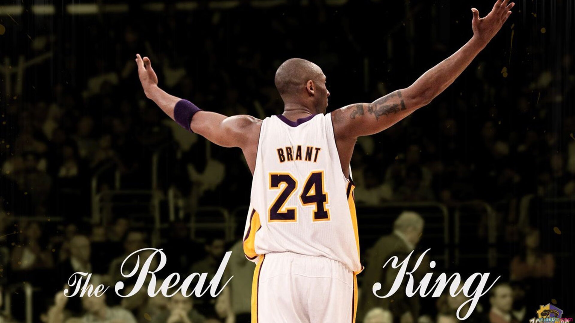 WRC经典车系：历史经典车型回顾，wrc经典视频